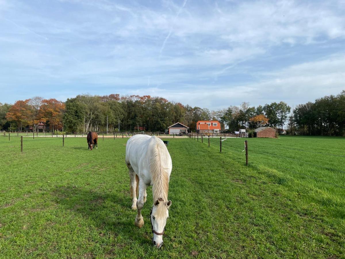 Bed & Breakfast Hoeve Happiness - Ontbijt Inbegrepen - Wellness Aanwezig Voorthuizen Exterior photo