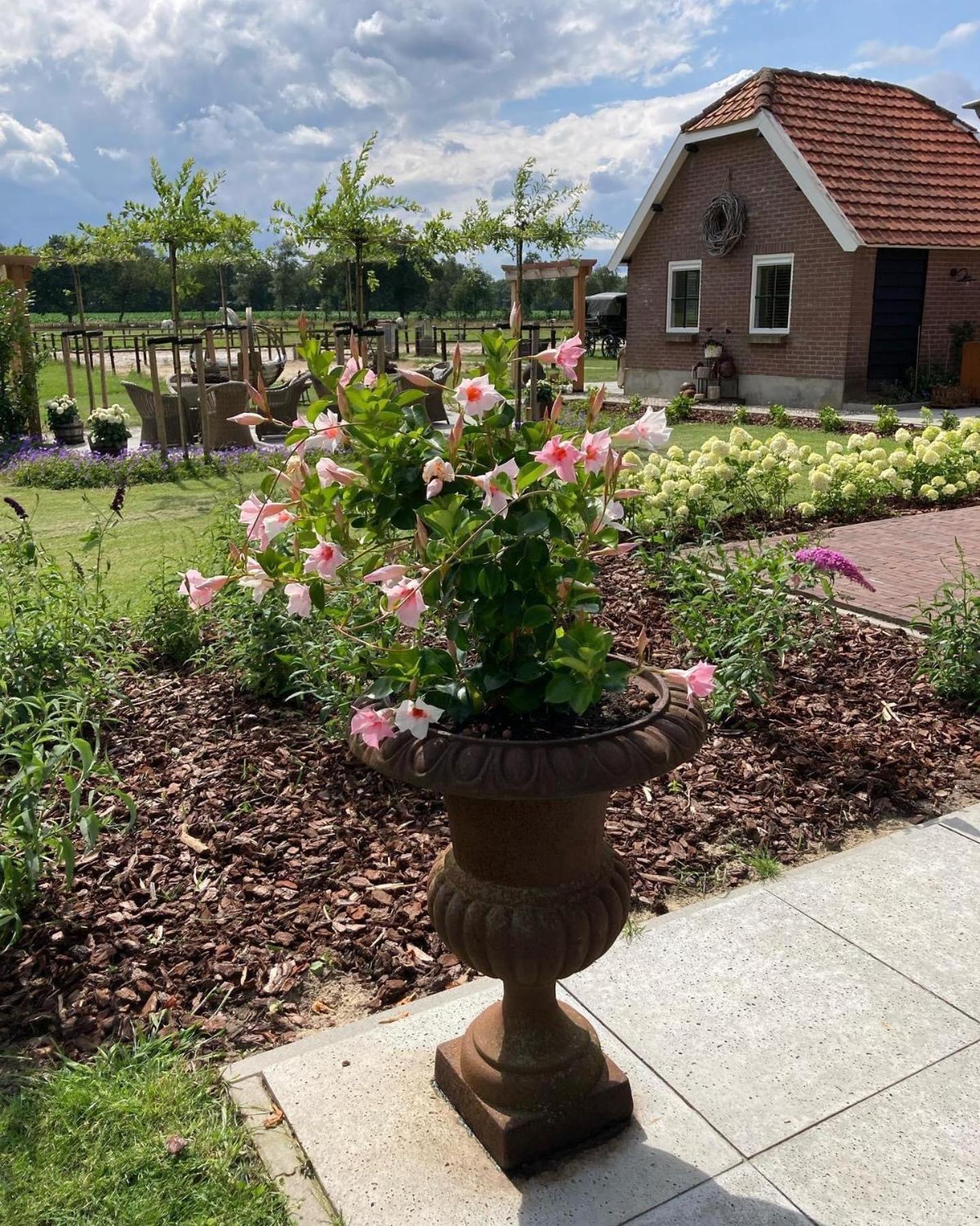 Bed & Breakfast Hoeve Happiness - Ontbijt Inbegrepen - Wellness Aanwezig Voorthuizen Exterior photo